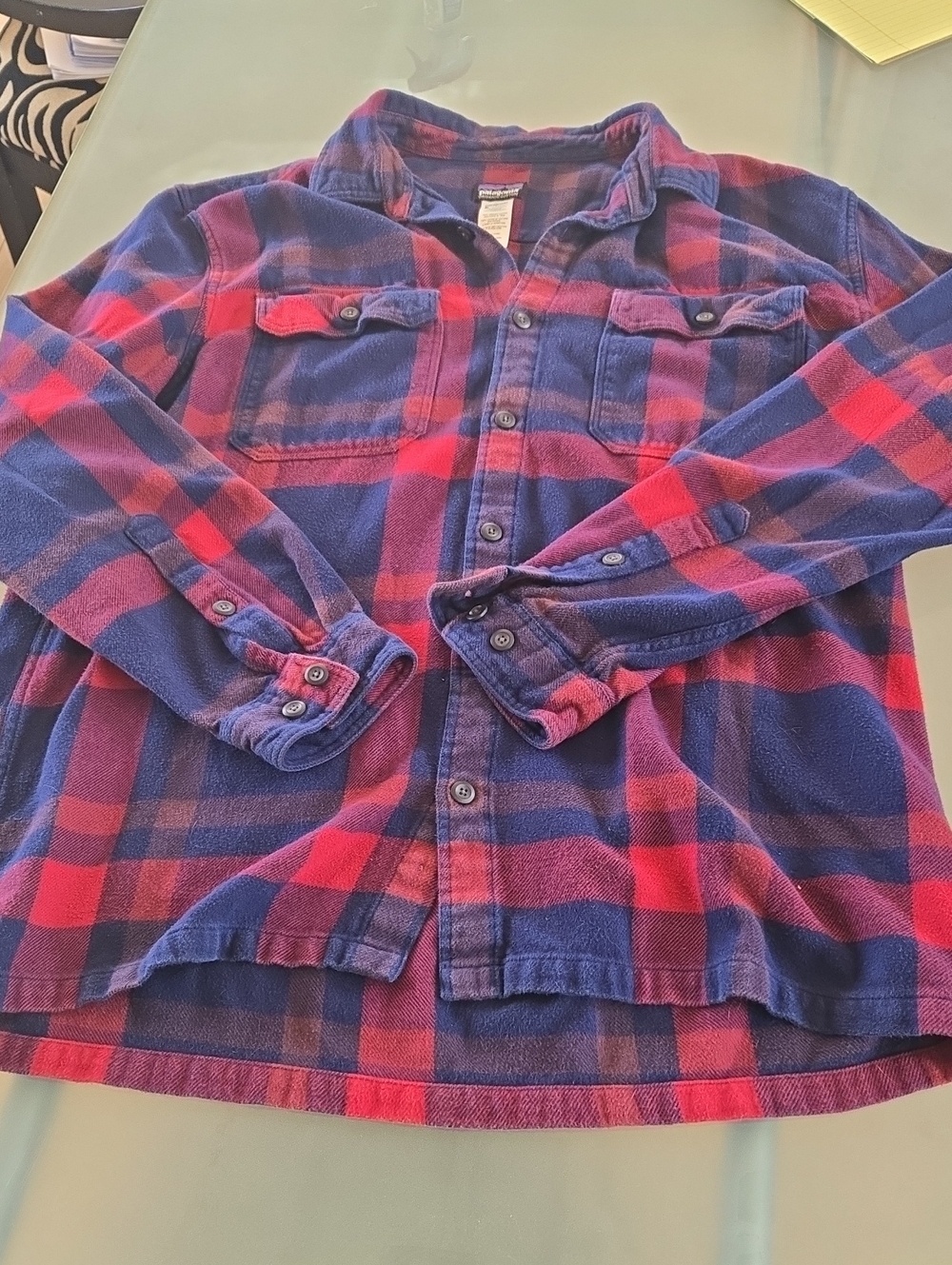 Patagonia Red and Blue Plaid Button-Down Shirt